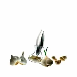 Eva Solo/Trio Eva Solo Hvidløgspresser