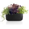 Eva Solo/Trio Eva Solo Selvvandende Herb Organiser Sort -Køkkenudstyr Eva 20selvande 20B e760d649 8148 4b50 adf0 9cdecb0a7000