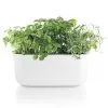 Eva Solo/Trio Eva Solo Selvvandende Herb Organiser Hvid -Køkkenudstyr Eva 20selvande 4fd44247 7767 4d4b 9b6e 02a04d52d31a